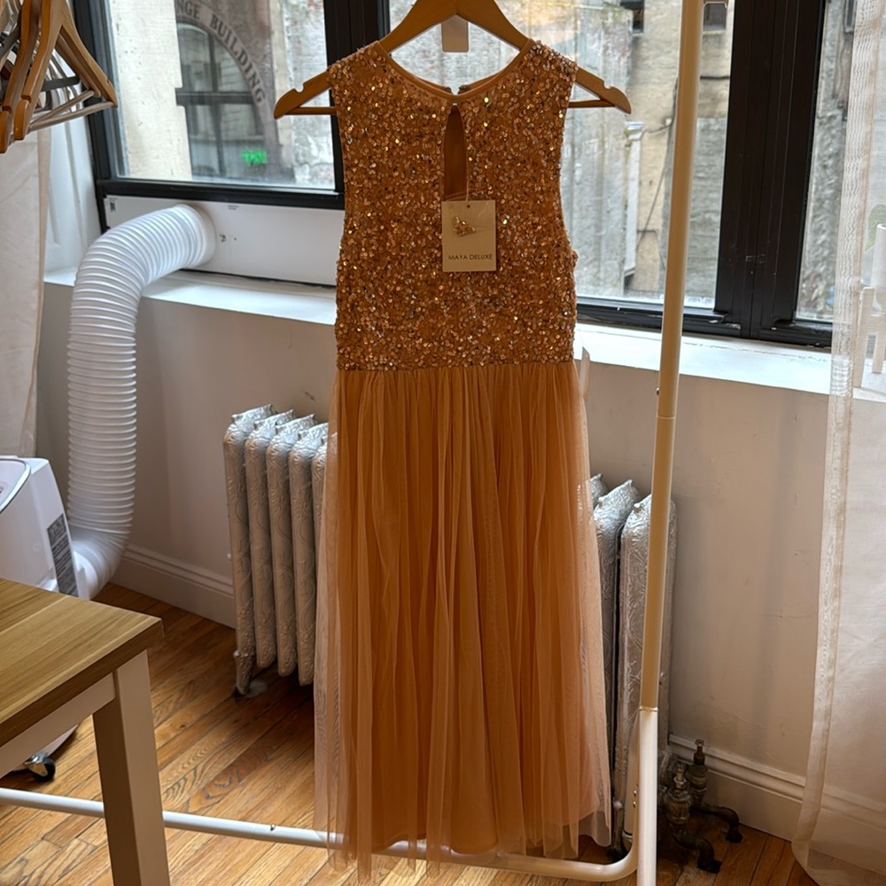 Bridesmaid brand new dress